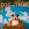 Dog on Trial fragman izle