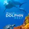 Dolphin Reef fragman izle