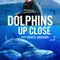 Dolphins Up Close with Bertie Gregory fragman izle