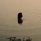 Falcon Lake fragman izle