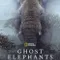 Hayalet Filler fragman izle