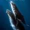 Giants of the Deep Blue fragman izle