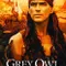 Gri Baykuş fragman izle