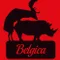 Belgica fragman izle