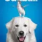 Cesur Köpek fragman izle