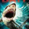 Bait |Yem| fragman izle