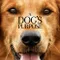 Can Dostum fragman izle