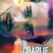 Charlie Countryman'ın Gerekli Ölümü fragman izle