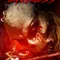 Havana Darkness fragman izle