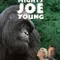 Koca Bebek Joe fragman izle