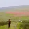 Tek Başına fragman izle