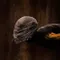 The Maus fragman izle