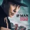 Ip Man Kung Fu Legend fragman izle