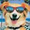 Kahraman Köpek Bingo fragman izle