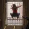 Çıldırmanın Eşiğinde - Las Locuras fragman izle