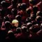 Küçük Buddha fragman izle