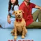 Merv fragman izle