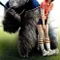 Mr. Go fragman izle
