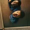 Nickel Boys fragman izle