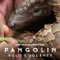 Pangolin Kulus Journey fragman izle