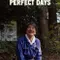 Perfect Days fragman izle