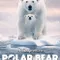 Polar Bear fragman izle