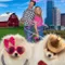 Puppy Swap Love Unleashed fragman izle