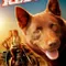 Kırmızı Köpek fragman izle