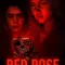 Red Rose