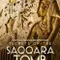 Sakkaranın Sırları fragman izle
