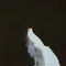 Seagrass fragman izle