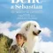 Sebastian Sevgili Dostum fragman izle