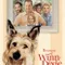 Sevgili Köpeğim fragman izle