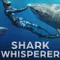 Shark Whisperer fragman izle