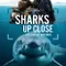 Sharks Up Close with Bertie Gregory fragman izle