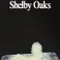 Shelby Oaks fragman izle