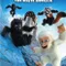Snowflake fragman izle