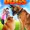 Step Dogs fragman izle