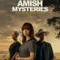 Sugarcreek Amish Mysteries Blessings in Disguise fragman izle