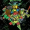 Tales of the Teenage Mutant Ninja Turtles