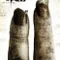 Testere 2 fragman izle