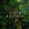 Asunta