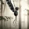 The Chestnut Man