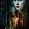 Baykuşun Ağlayışı fragman izle