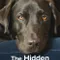 The Hidden Lives of Pets