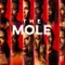 Köstebek - Mole
