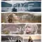 The Place of No Words fragman izle