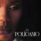 The Polygamist
