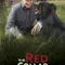 The Red Collar fragman izle
