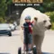 Timmy Failure: Mistakes Were Made fragman izle